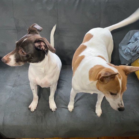 Welcome to My Closet! - Picture 7 of 8